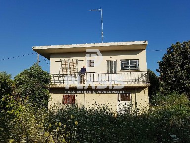 Εύα, Ανδρούσα (Μεσσηνία)