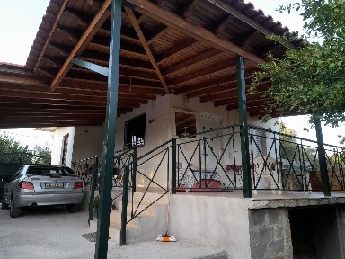 Καρποφόρα, Πεταλίδι (Μεσσηνία), Πεταλίδι Ελλάδα, 24005
