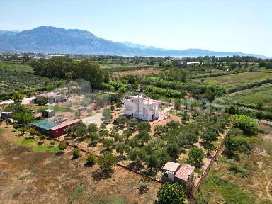 Καλαμάτα (Μεσσηνία)