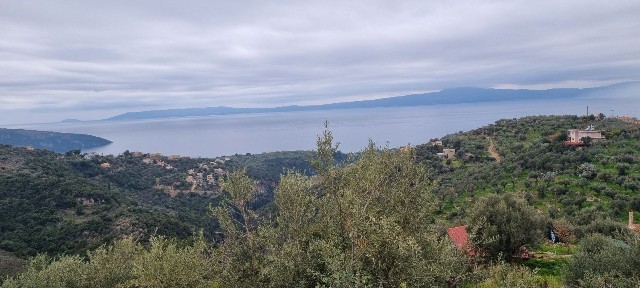 Μεγάλη Μαντίνεια, Αβία (Μεσσηνία)