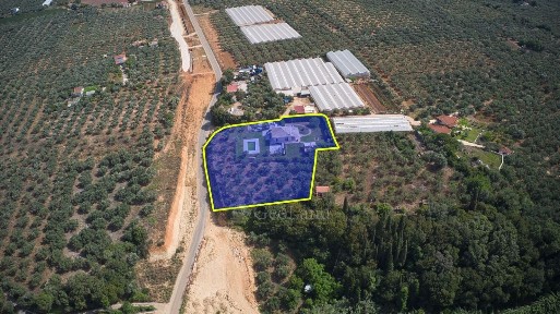 Γιόλακα, Φιλιατρά (Μεσσηνία)