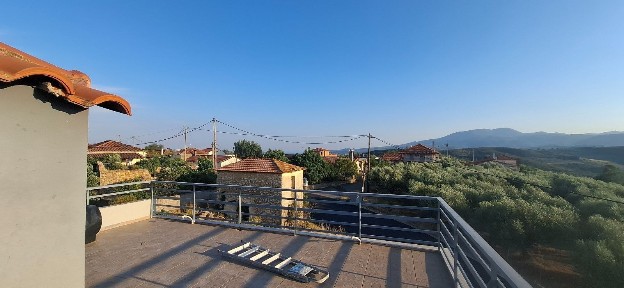 Ριζόμυλος, Πεταλίδι (Μεσσηνία)
