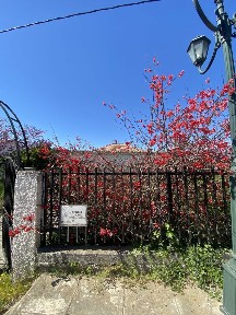 Οιχαλία (Μεσσηνία)
