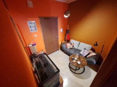 Studio / Γκαρσονιέρα, 33τ. μ.