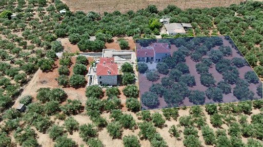 Μονοκατοικία, 340τ. μ.
