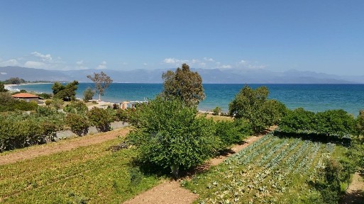 Αχλαδοχώρι, Πεταλίδι (Μεσσηνία)