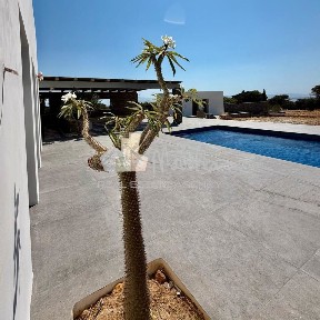 Ιστέρνι, Πάρος (Κυκλάδες)