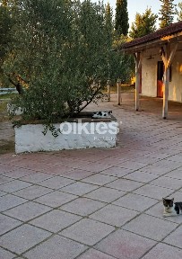 Φάρμα / Ράντσο, 10000τ. μ.