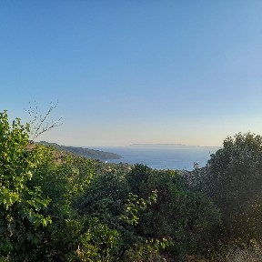 Μεγάλη Μαντίνεια, Αβία (Μεσσηνία), Μεγάλη Μαντίνεια 24150