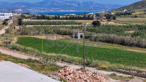 Νάουσα, Πάρος (Κυκλάδες), Πάρος, Αμπελάς