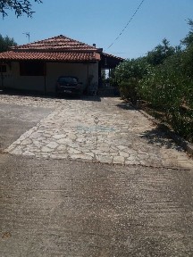 Μονοκατοικία, 6267τ. μ.