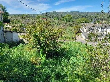 Χατζής, Βουφράδα (Μεσσηνία), Επ. Οδός 10-Πετριτσίου-Ραυτοπούλου, Χατζής 24005