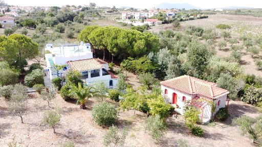 Φοινίκη, Μεθώνη (Μεσσηνία), Πύλος-Νέστορας 24006