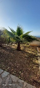 Θαλερό, Ξυλόκαστρο (Κορινθία), Ξυλόκαστρο Ελλάδα, 20200
