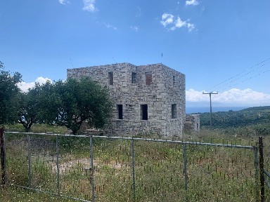 Καστανιά, Πεταλίδι (Μεσσηνία), Καστανιά 24005