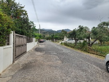 Φίλια, Οιχαλία (Μεσσηνία), Παλαιά Εθν. Οδός Τρίπολης-Καλαμάτας 24002