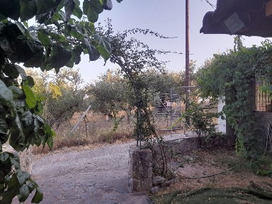 Βελίκα, Μεσσήνη (Μεσσηνία), Καλαμάτας-Πύλου, Βελίκα 24200