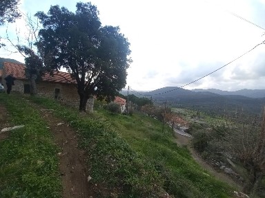 Μονοκατοικία, 160τ. μ.