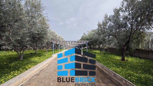 Ευαγγελίστρια, Βόχα (Κορινθία)