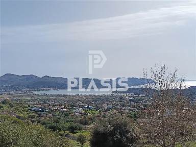 Μονοκατοικία, 260τ. μ.