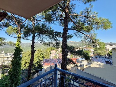 Παλιός Οικισμός Πανοράματος, Πανόραμα (Θεσσαλονίκη - Περιφ/κοί δήμοι), Βασιλέως Κωνσταντίνου 2, Πανόραμα 55236