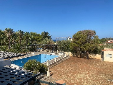Θυμάρι, Παλαιά Φώκαια (Υπόλοιπο Αττικής)