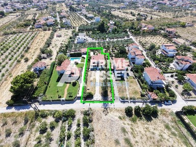 Κοκκώνι, Βέλο (Κορινθία), Αγίου Δημητρίου, Νεράτζα 20006