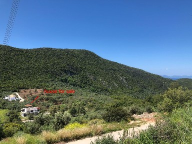 Κέντρο, Πέρδικα (Θεσπρωτία)