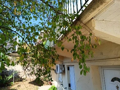Κέντρο, Φιλιάτες (Θεσπρωτία)
