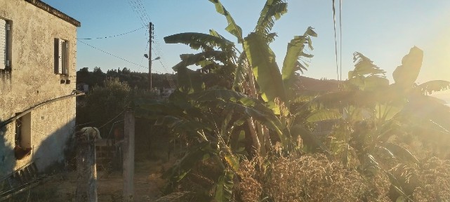 Κέντρο, Σύβοτα (Θεσπρωτία), Επαρχιακή Οδός Πάργας-Ηγουμενίτσας, Σύβοτα 46100