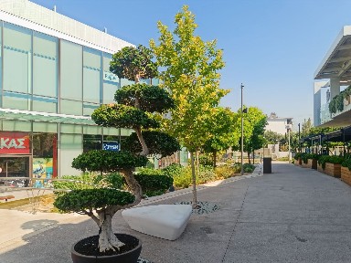 ΤΕΙ Πειραιά, Αιγάλεω (Αθήνα - Δυτικά Προάστια), Leoforos Kifisou, Aigaleo 12241