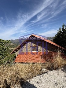 Παναρίτι, Ξυλόκαστρο (Κορινθία)