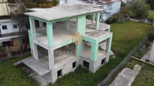 Νεράντζα, Βέλο (Κορινθία), Τσαλντάρη Παν., Νεράτζα 20006