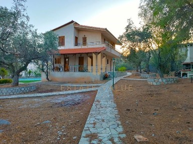 Κόρφος, Σολύγεια (Κορινθία)