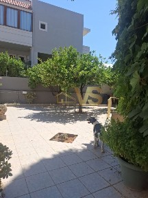 Μονοκατοικία, 227τ. μ.