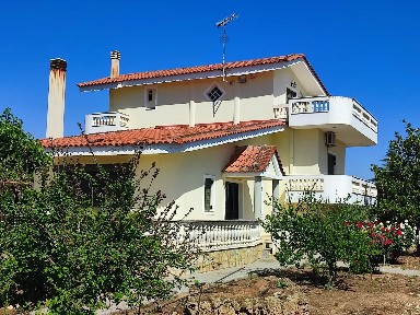 Κοκκώνι, Βέλο (Κορινθία), Αγίου Νικολάου 8, Κοκκώνι 20006
