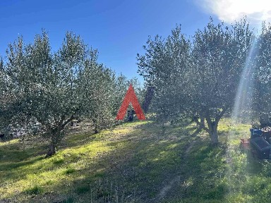 Νέο Ρύσιο, Θέρμη (Θεσσαλονίκη - Περιφ/κοί δήμοι)