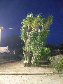 Μονοκατοικία, 70τ. μ.