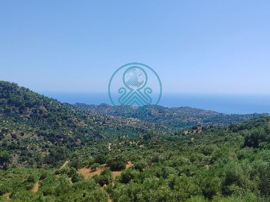 Άγιος Βασίλειος, Βιαννός (Ν. Ηρακλείου)