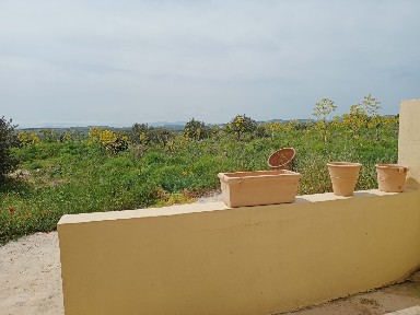 Απόστολοι, Καστέλλι (Ν. Ηρακλείου), Επ. Οδ. 44-Αγ. Παρασκιών-Τζερμιάδων
