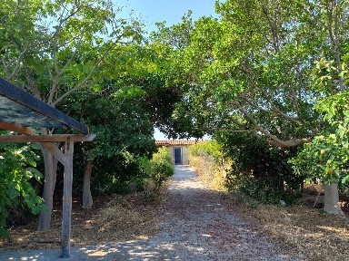 Κάτω Γούβες - Φοίνικας, Γούβες (Ν. Ηρακλείου), Καζαντζάκη Νίκου, 700 14 Γούβες
