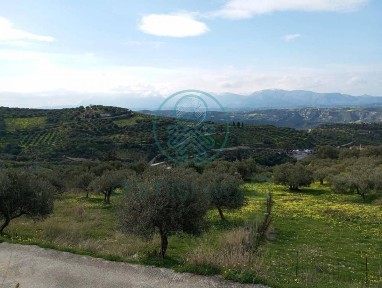 Βασιλείες, Ηράκλειο Κρήτης (Ν. Ηρακλείου)