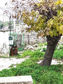Μονοκατοικία, 60τ. μ.