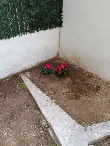 Αμπελόκηποι, Αμπελόκηποι - Πεντάγωνο (Αθήνα - Κέντρο), Πανόρμου 9, Αθήνα 11522