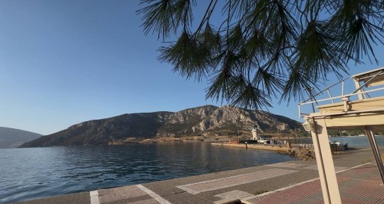 Κέντρο, Λιβαδειά (Βοιωτία), Αντίκυρας, Λειβαδιά Ελλάδα, 32131