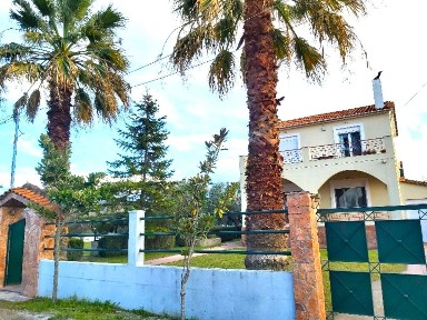 Κέντρο, Αρτεμίσιο (Εύβοια)