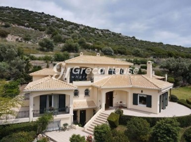 Γαλάζια Νερά, Αμάρυνθος (Εύβοια), Αμαρύνθιοι