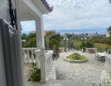 Κέντρο, Αμάρυνθος (Εύβοια), Αμάρυνθος