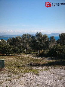 Παραλία Πολιτικών, Μεσσαπία (Εύβοια), Δίρφυς-Μεσάπια 34400