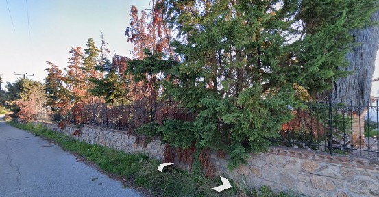 Ανθηδόνα, Ανθηδώνος (Εύβοια), Αγίου Γεωργίου, 341 50 Ανθηδών